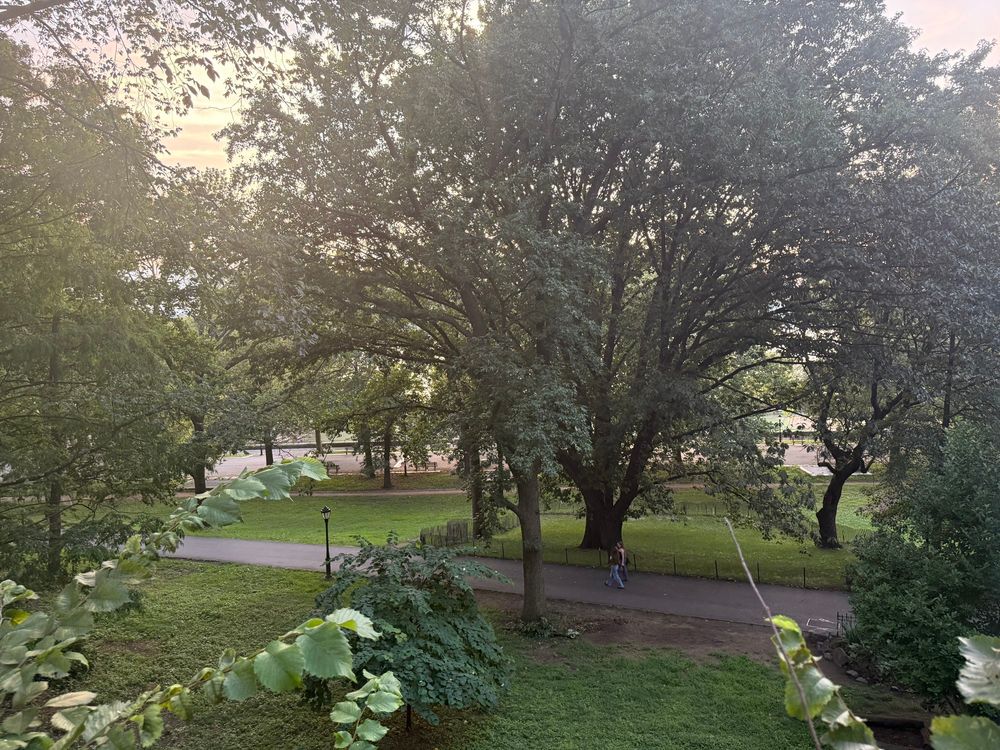 The park. It is really nice.