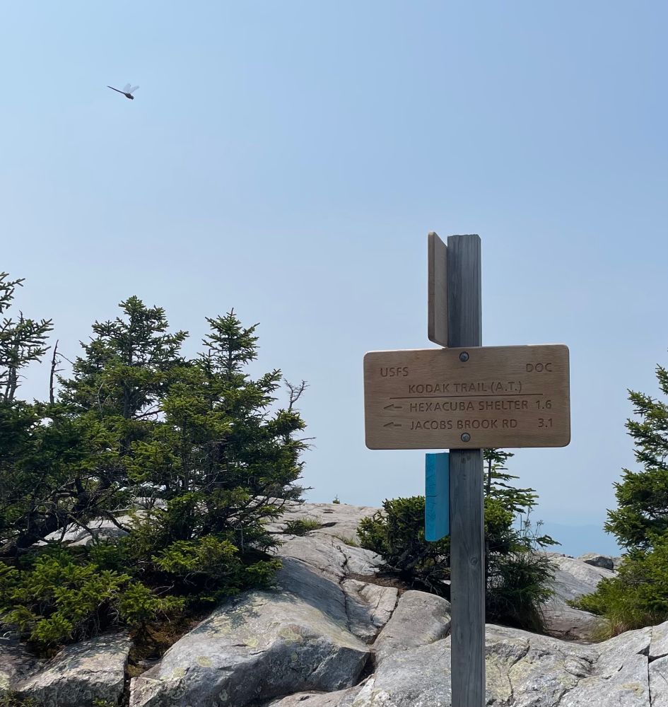 Kodak Trail sign (AT) on a rocky summit. Haze blocks the view. Big dragonfly next to the sign.