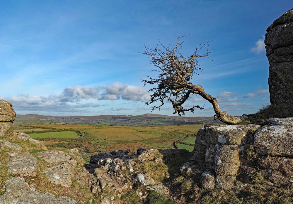 Sharp Tor, Dartmoor