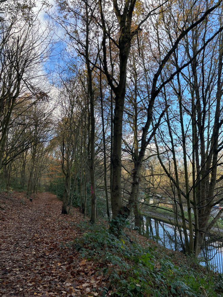 Leafy late autumn path in the woods next to the canal