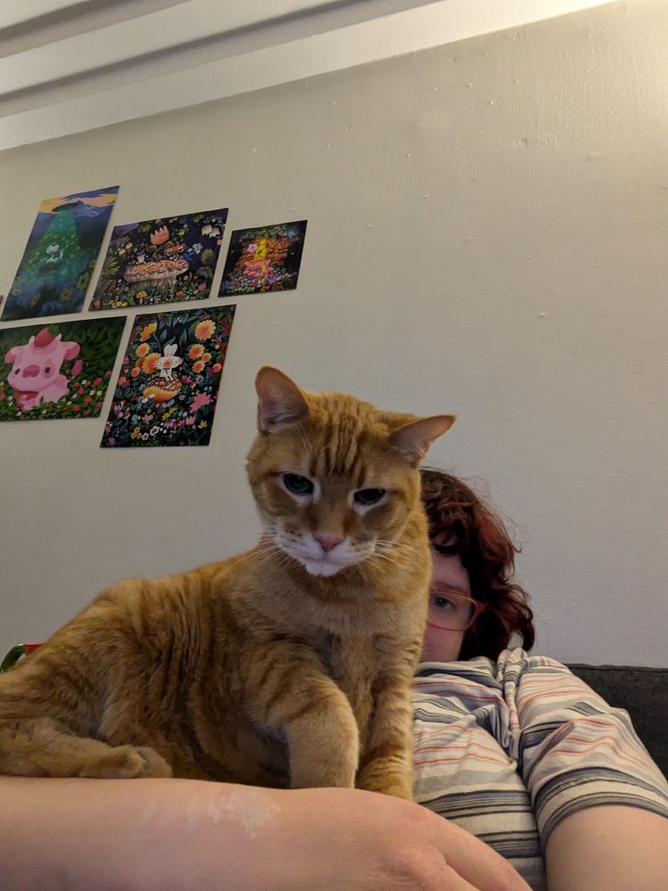 A upshot photo of an orange cat sitting on a person wearing a stripped shirt.