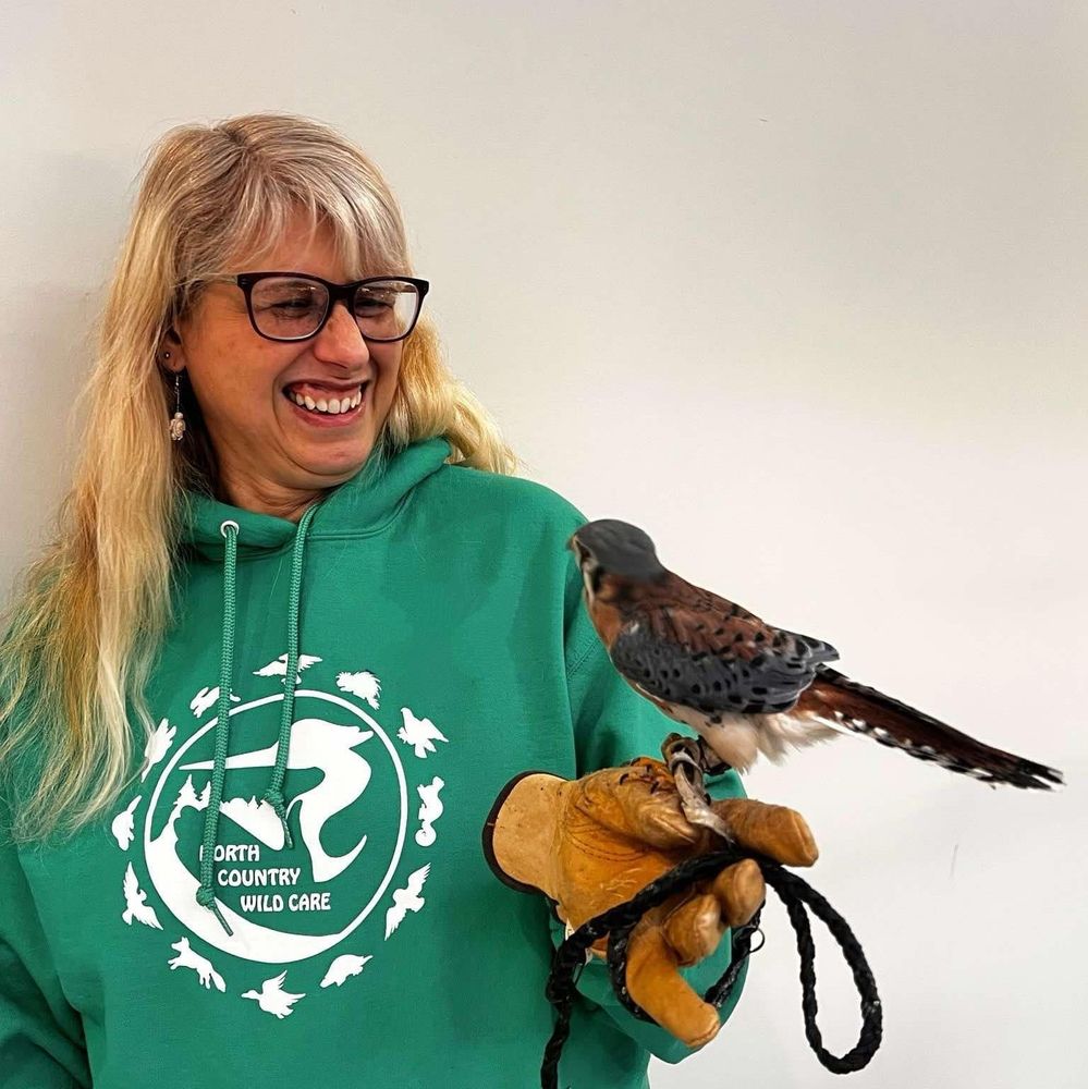 Me wearing a green North Country Wild Care hoodie and a goofy smile, looking at the slate and brown American kestrel sitting on the glove on my hand, looking back at me. Kestrels are small falcons. This one is blind in one eye after hitting a car and unable to hunt on his own. He is missing flight feathers on the visible wing but that happened in captivity and they are growing back.