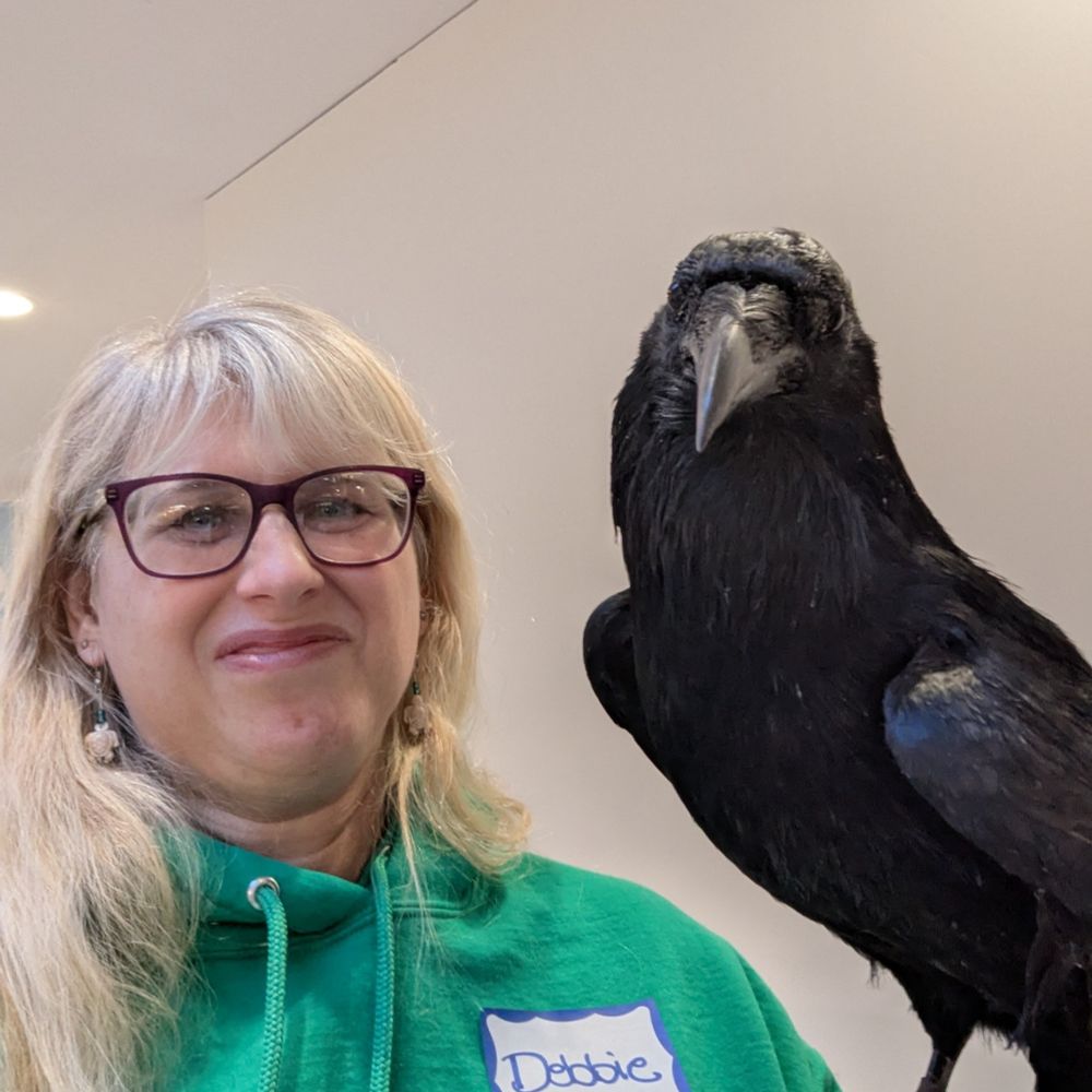 Me in a green hoodie with my name on a name tag in a selfie with a black common raven I am holding. She is perched on a glove out of frame. The raven is looking towards the camera. Her name is Melina and she became an educational ambassador after being hit by a car and breaking both wings and both legs. Her bones healed, but there is lingering weakness that prevented her return to the wild. She does educational programs and is also an animal actor. She has appeared in a number of TV shows and movies, including The Pale Blue Eye, a Netflix movie about Edgar Allen Poe.