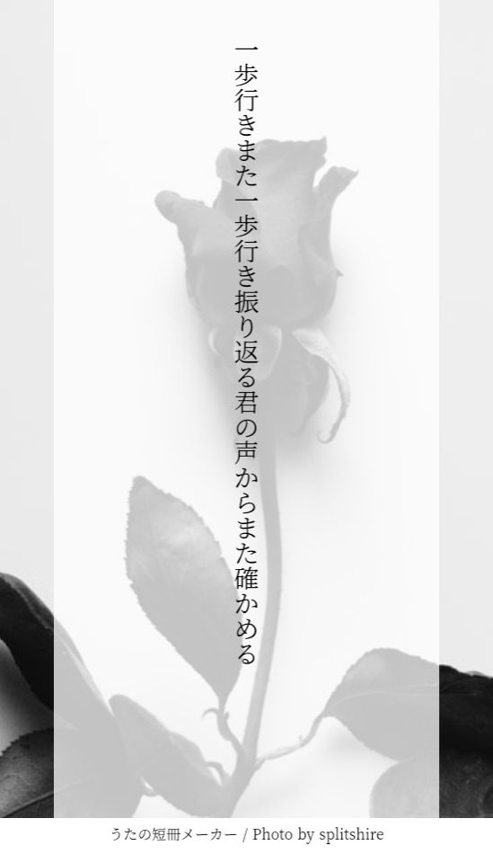 一歩行きまた一歩行き振り返る君の声からまた確かめる