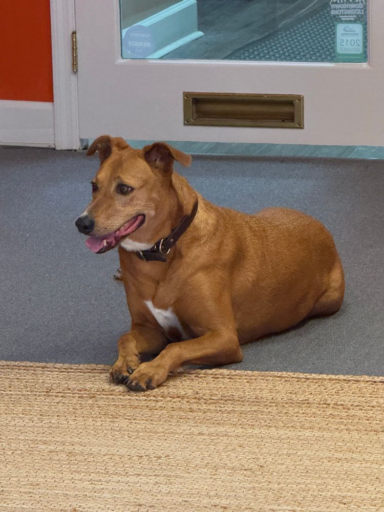 Ruby waiting like good girl 