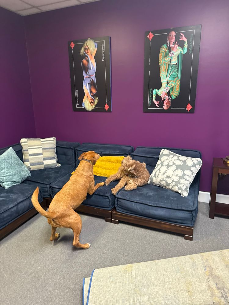 Ruby and Woofie playing beneath our two (drag) Queens of Kentucky pieces!  