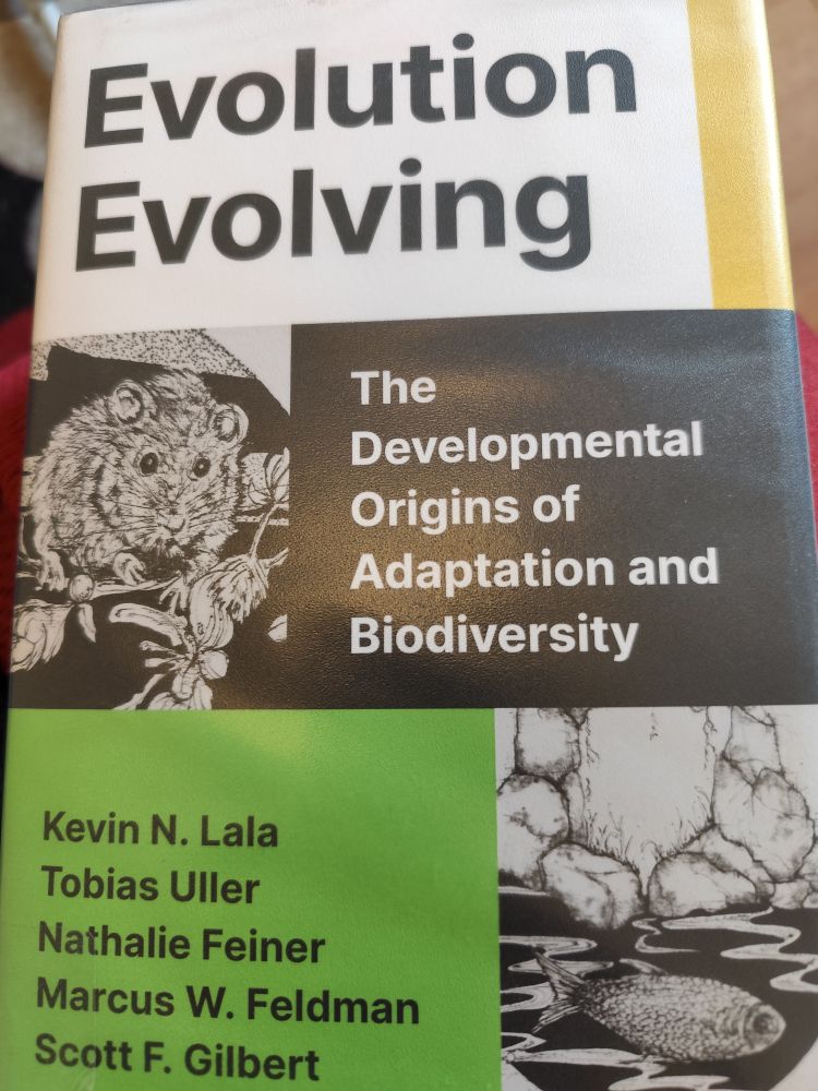 Cover of the book Evolution Evolving. 