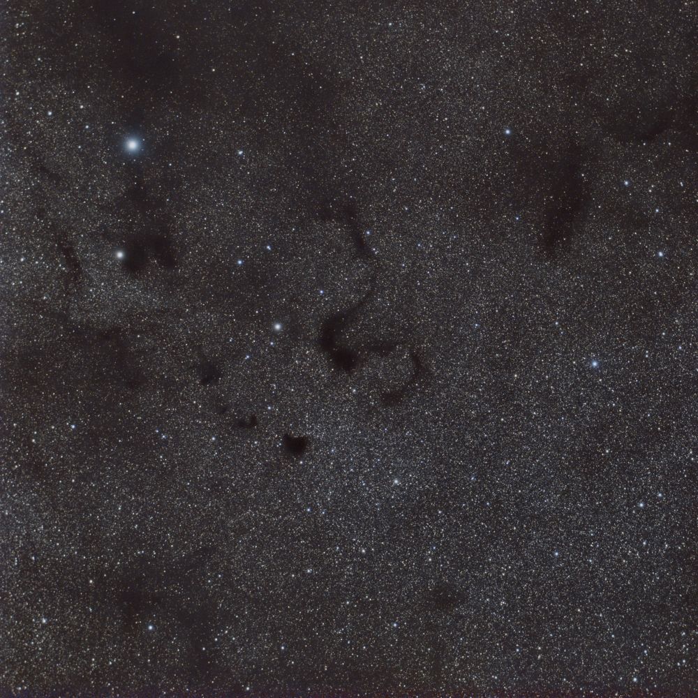 Barnard 72 Snake Nebula