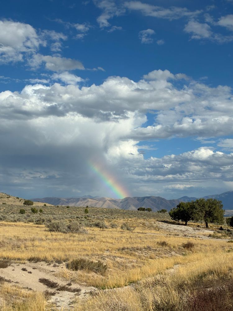 A fading rainbow over a grassy desert landscape