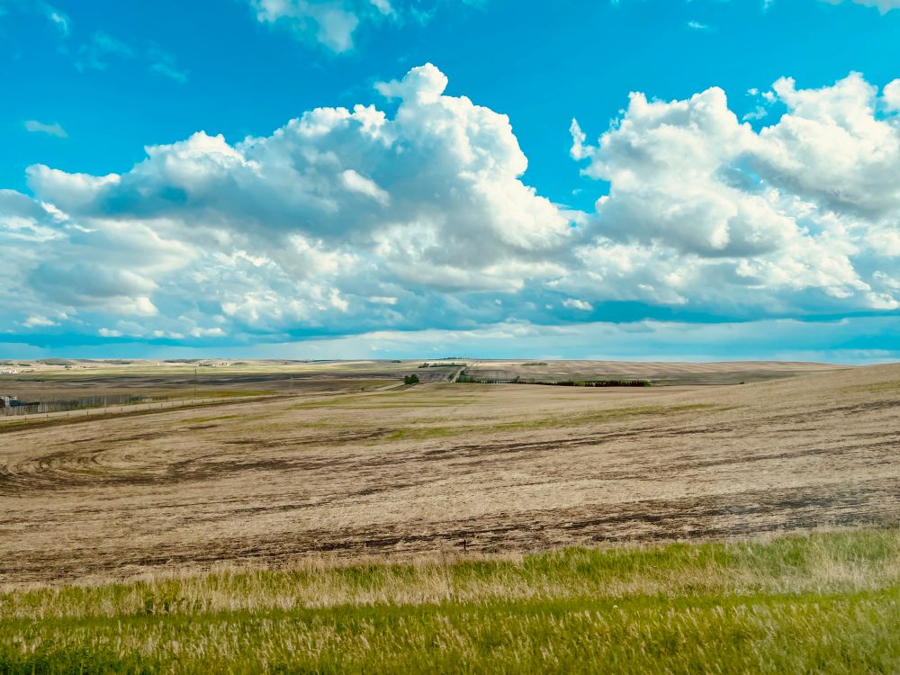 A photograph of cut fields of crops in early spring with large fluffy clouds overhead that are white on a blue sky. Along the horizon line there is light beams and rain lines. 