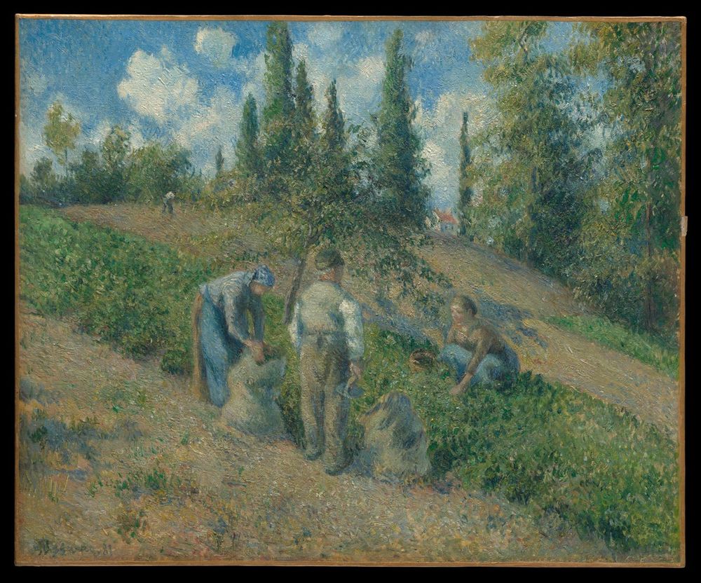 "The Harvest, Pontoise (La Récolte, Pontoise)" by Camille Pissarro, 1881