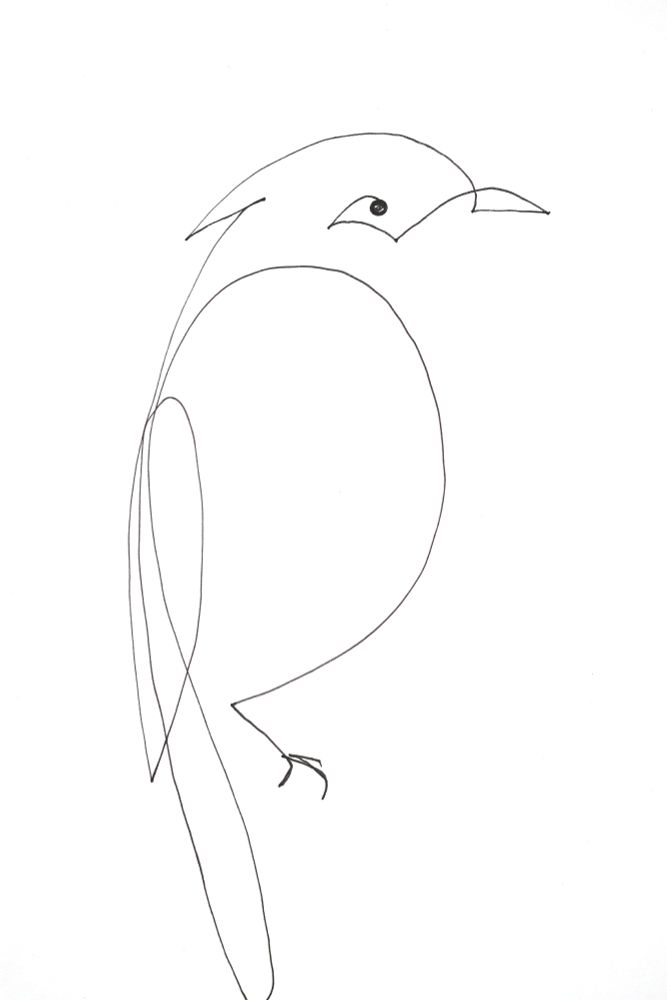 Line drawing of a Bali myna