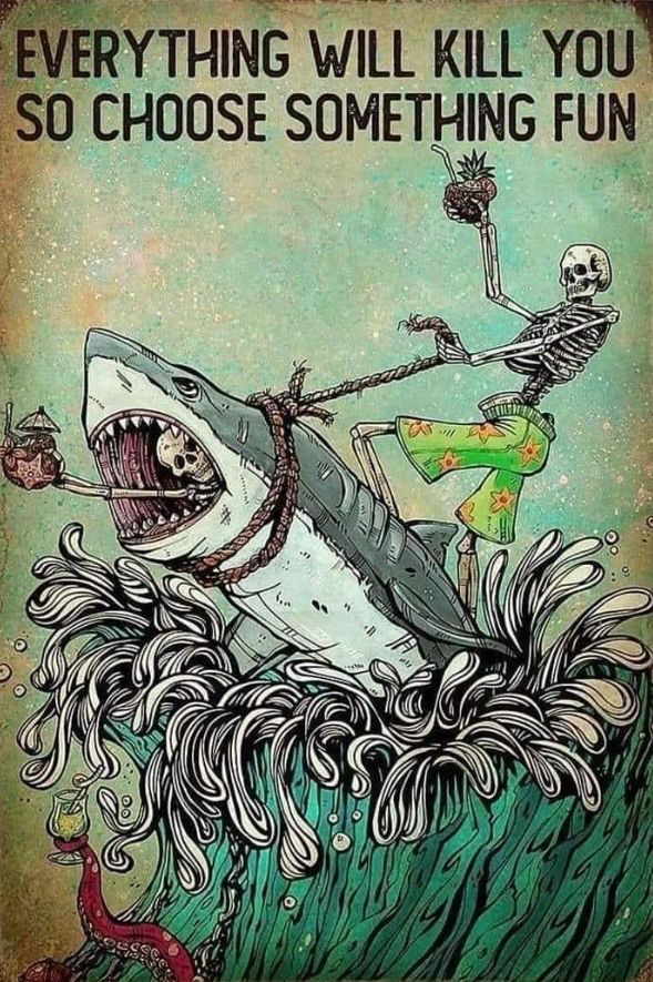 A shark with a skeleton riding on his back are shown exploding out of the water. 

A standing skeleton wearing surfer shorts is riding on the back of the shark, controlled by the skeleton via a rope wrapped around the shark just behind the jaws. 

The shark’s mouth is wide open and another tiny skeleton with a tropical drink featuring a tiny umbrella is visible. 