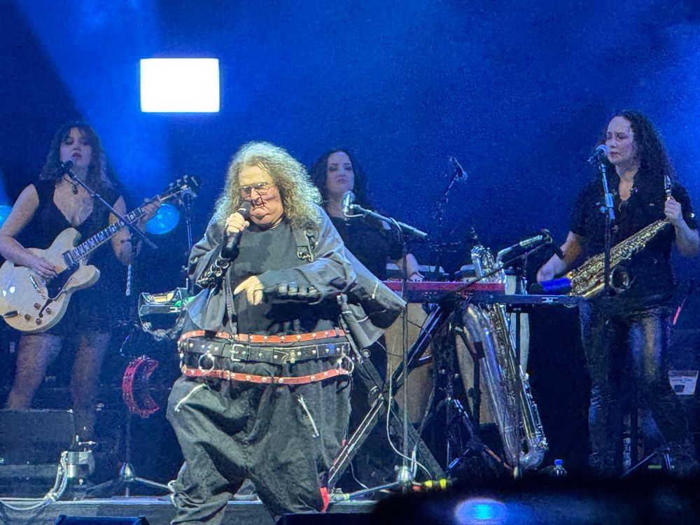 Fat Al, I presume a must-have in any Weird Al show based on the roar when the song started