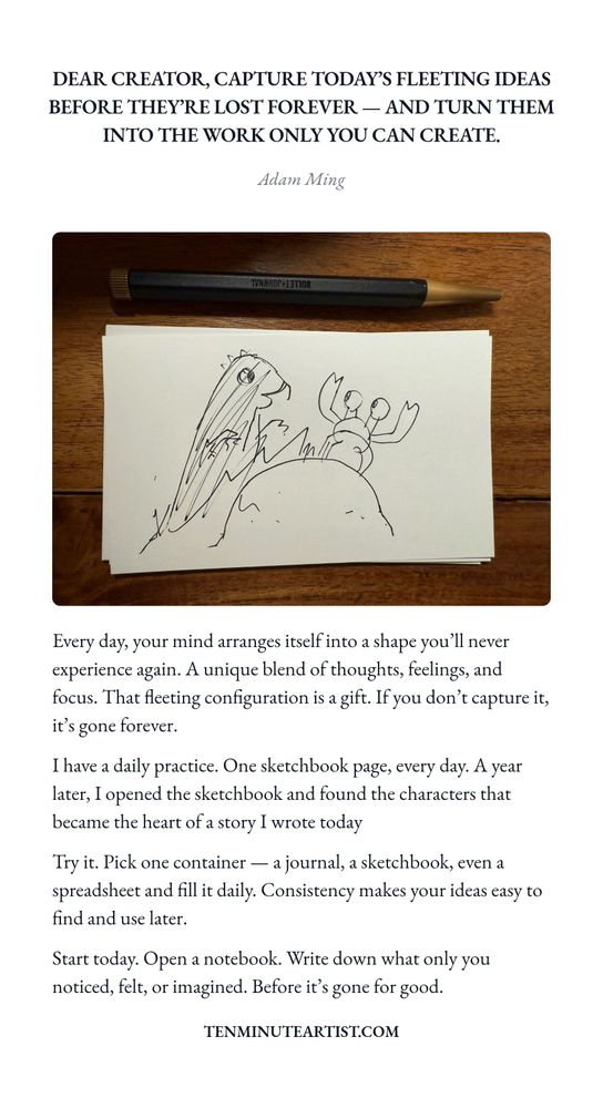A screenshot essay titled 'Dear Creator, capture today's fleeting ideas before they're lost forever — and turn them into the work only you can create.' The body text discusses the importance of capturing unique thoughts and feelings that arise each day, emphasizing that these configurations of ideas are fleeting gifts. The author shares their personal practice of filling a sketchbook daily, which led to discovering characters for a story a year later. The essay encourages readers to choose a method of documentation, such as a journal or sketchbook, and stresses the importance of consistency in preserving ideas that may otherwise be forgotten.