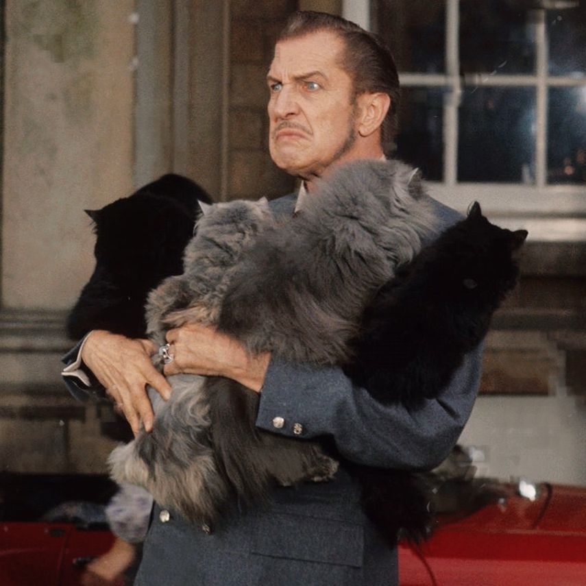 Vincent Price holding a bunch of kitties and not looking nearly as pleased about it as I would be.
