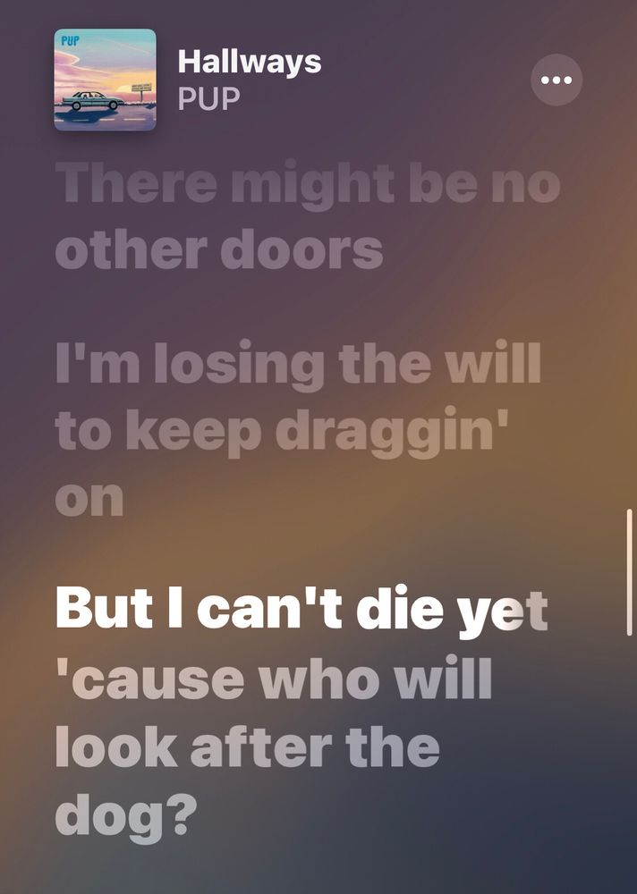 Lyrics from Pup’s song Hallways 