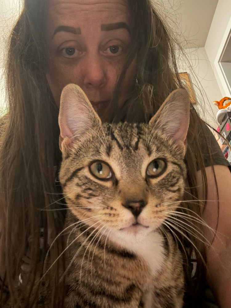 A brown tabby in the foreground looking up while I am behind him. 