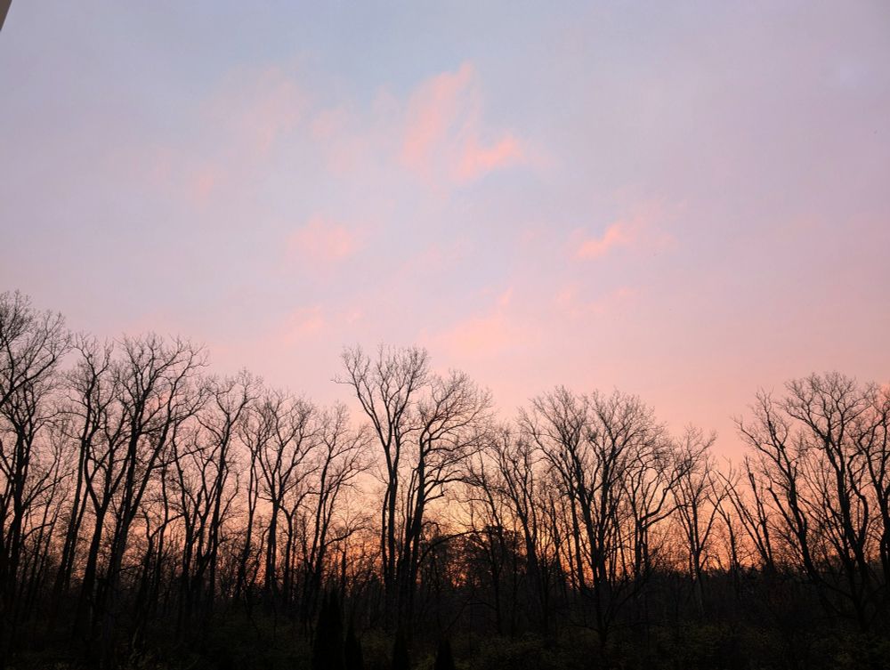 A silhouetted tree line against a sky that fades in color and light from a bright pink and orange color at the horizon to purple and blue beyond the tops of the trees.