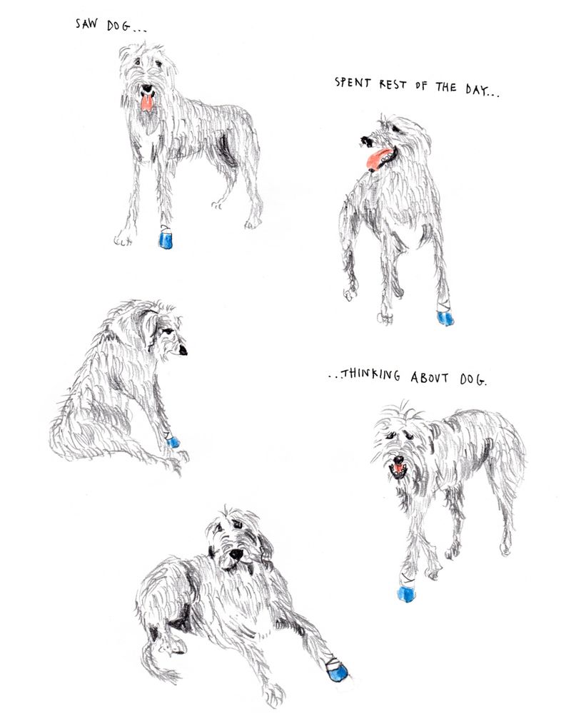 Saw a dog. Spent rest of the day thinking about dog