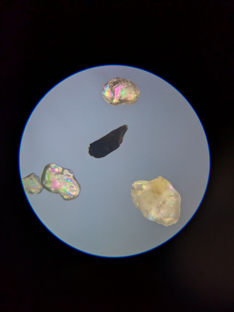 Four light colored chunks of sand and one dark piece (maybe sand, maybe wood?).the light colored bits are rainbow shimmery. 