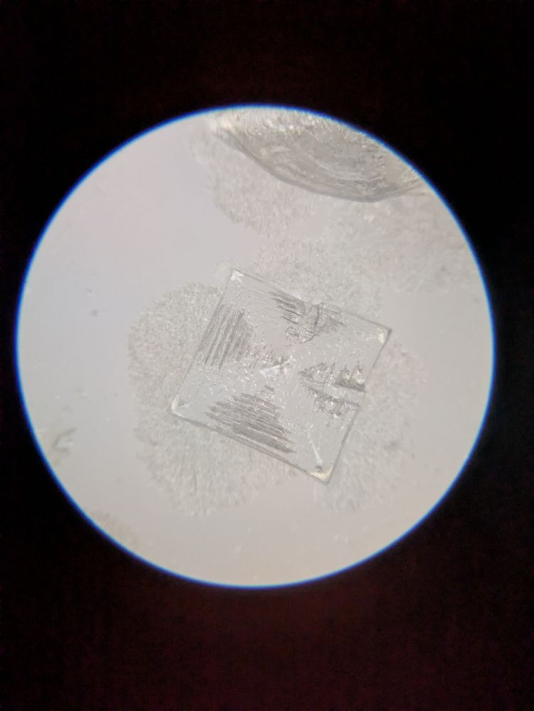 A flat salt crystal that looks like a square cut into triangles. 