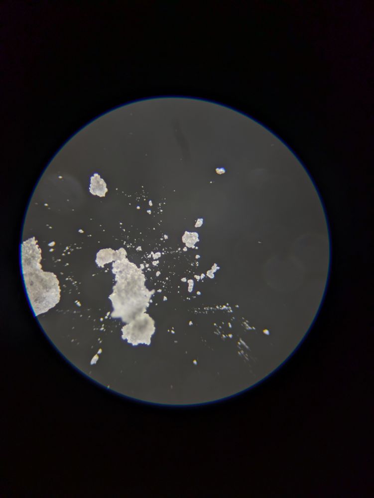 A black circle with a spattering of white dust 