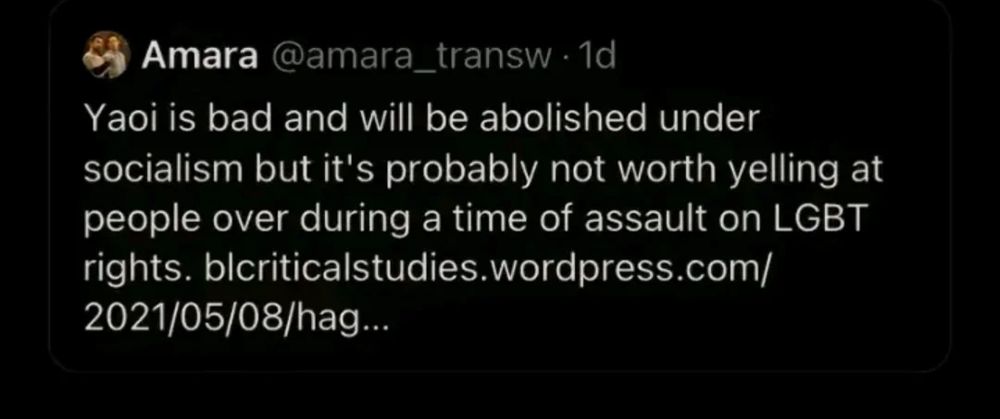 a screenshot of a tweet that reads: yaoi is bad and will be abolished under socialism. but it's probably not worth yelling at people over during a time of assault on LGBT rights 