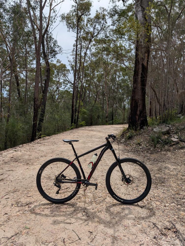 Side profile of a mountain bike on a tree lined fire trail propped up with a stick.