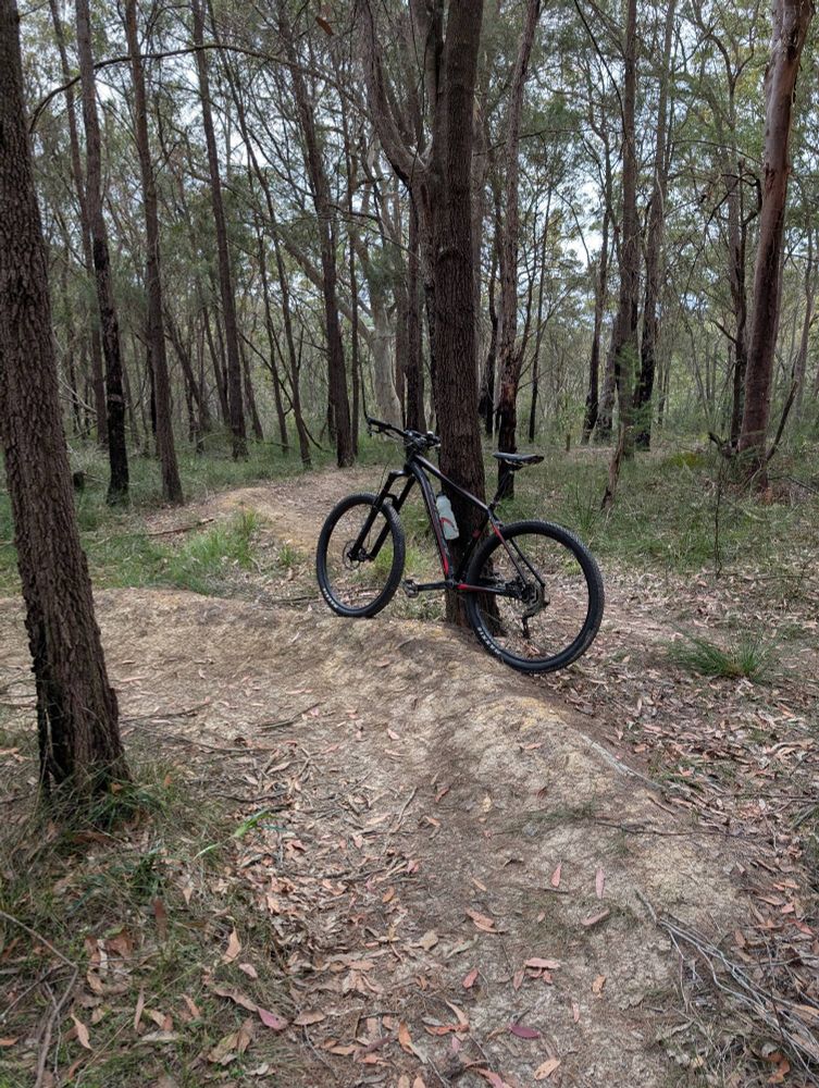 Mountain bike resting against a tree at the top of a small berm on a single track.