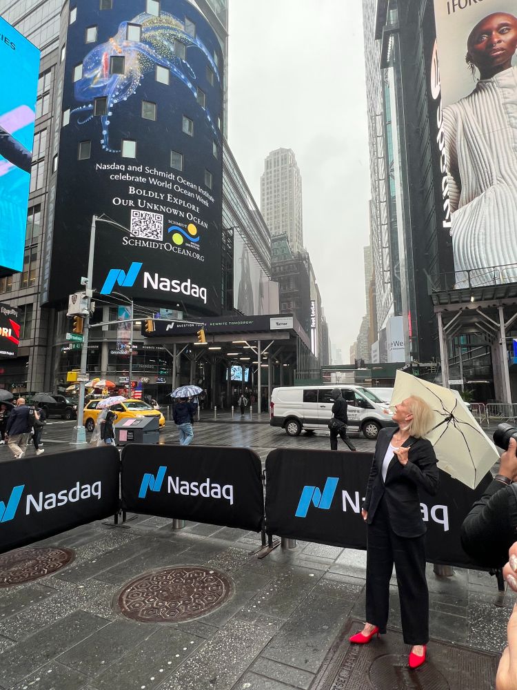 Wendy Schmidt stands in Times Square staring up and back at a towering billboard, projected against a building, that features a picture of a glass octopus. 