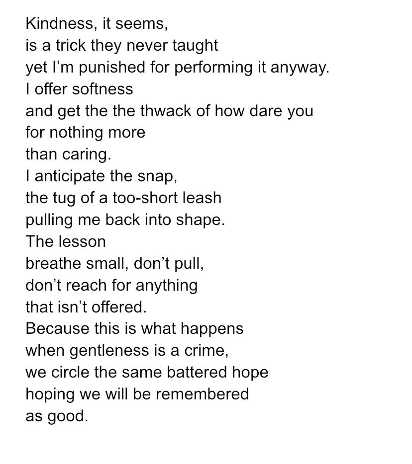 Kindness, it seems,
is a trick they never taught
yet I’m punished for performing it anyway.
I offer softness
and get the the thwack of how dare you
for nothing more
than caring.
I anticipate the snap,
the tug of a too-short leash
pulling me back into shape.
The lesson
breathe small, don’t pull,
don’t reach for anything
that isn’t offered.
Because this is what happens 
when gentleness is a crime,
we circle the same battered hope
hoping we will be remembered
as good. 


