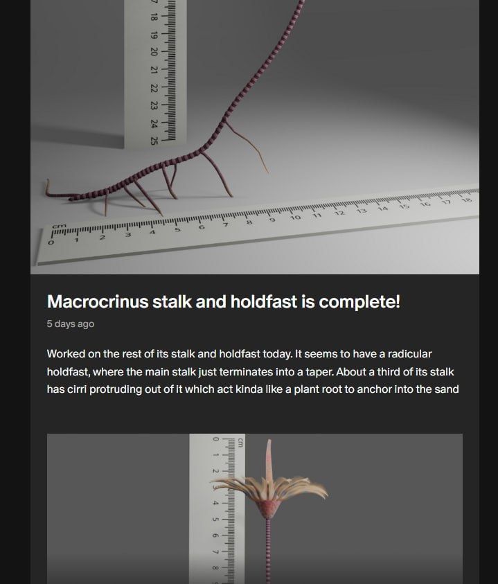Patreon screenshot showing a WIP of Macrocrinus, a Devonian Crinoid with an anal tube, the 'chimney' on top of the crown