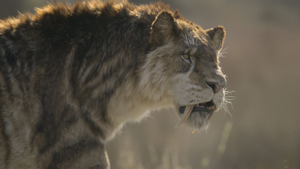 Smilodon populator from Prehistoric Planet, Ice Age.