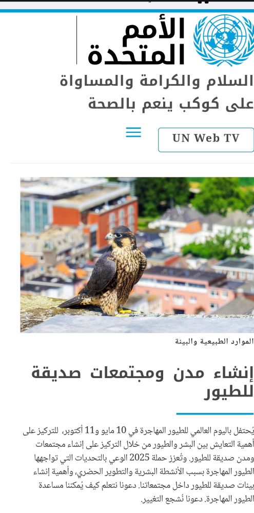 UN.org featuring #WorldMigratoryBirdDay in all UN languages (Arabic)