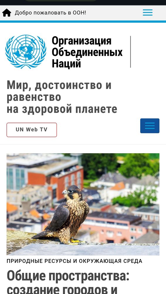 UN.org featuring #WorldMigratoryBirdDay in all UN languages (Russian)