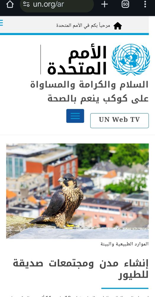 UN.org featuring #WorldMigratoryBirdDay in all UN languages (Arabic)
