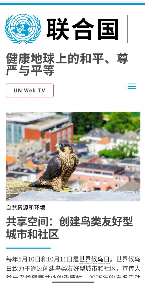 UN.org featuring #WorldMigratoryBirdDay in all UN languages (Chinese)
