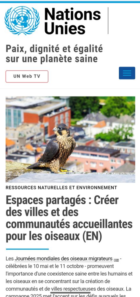 UN.org featuring #WorldMigratoryBirdDay in all UN languages (Spanish)