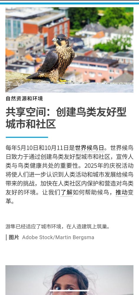 UN.org featuring #WorldMigratoryBirdDay in all UN languages (Chinese)