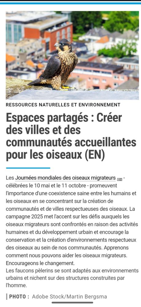 UN.org featuring #WorldMigratoryBirdDay in all UN languages (French)