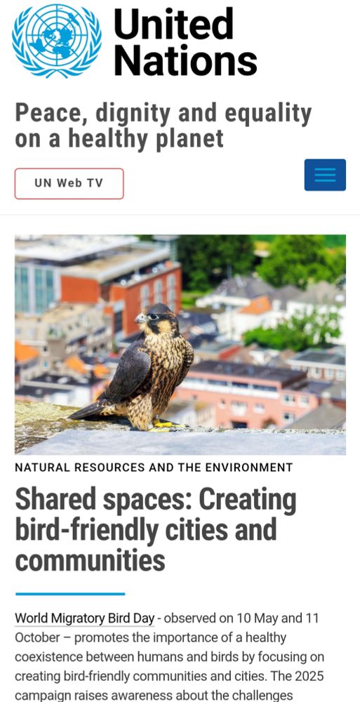Front Page of the UN.org Website featuring the 2025 World Migratory Bird Day theme: "Shared Spaces: Creating Bird-Friendly Cities and Communities"