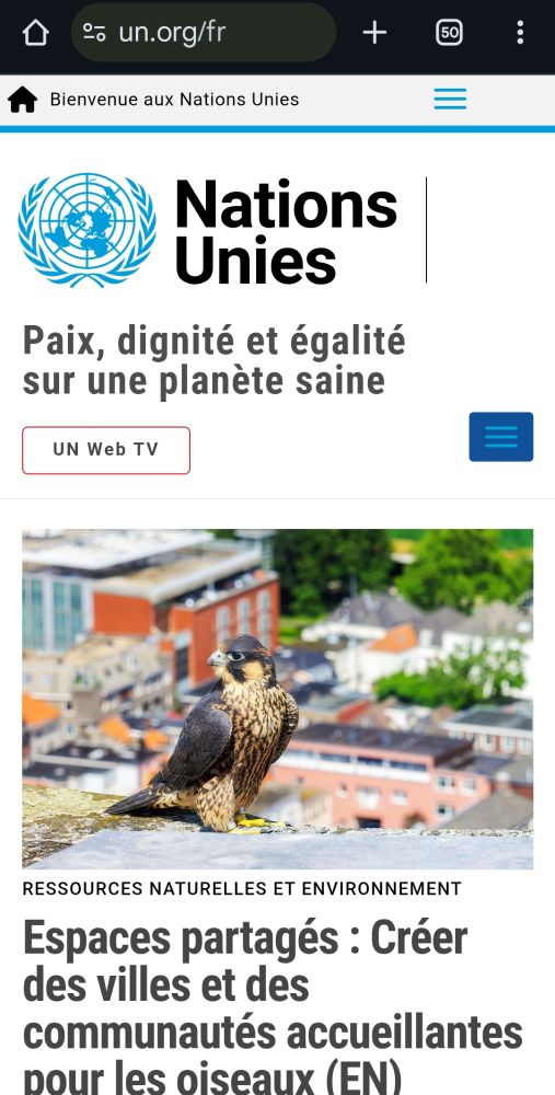UN.org featuring #WorldMigratoryBirdDay in all UN languages (French)UN.org featuring #WorldMigratoryBirdDay in all UN languages (French)