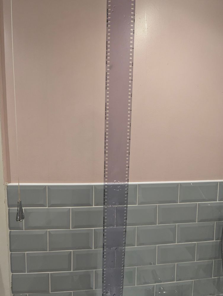 A photo of a 135 film home developed that came out totally blank 😭