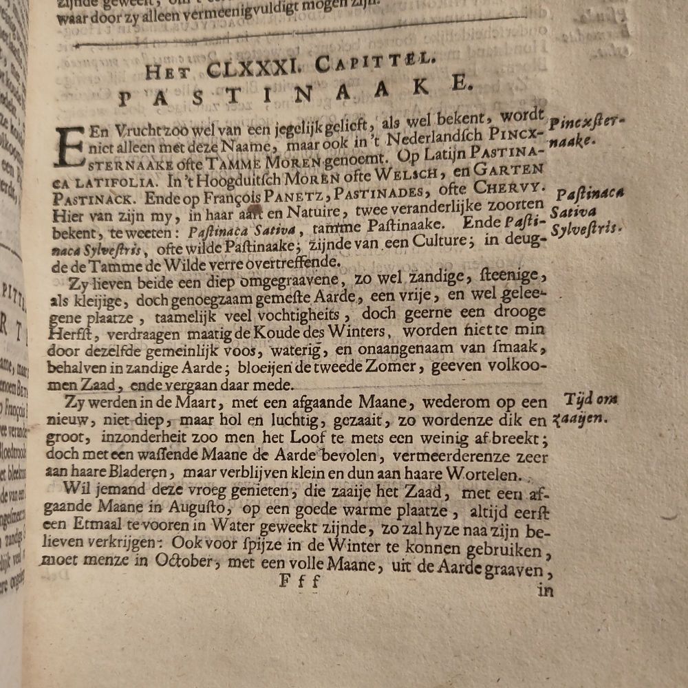 Page from Dutch printed book from the seventeenth century, heading: Pastinaake