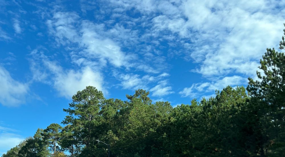 Bright blue sky with wispy white clouds against backdrop of trees with faintly changing leaves.