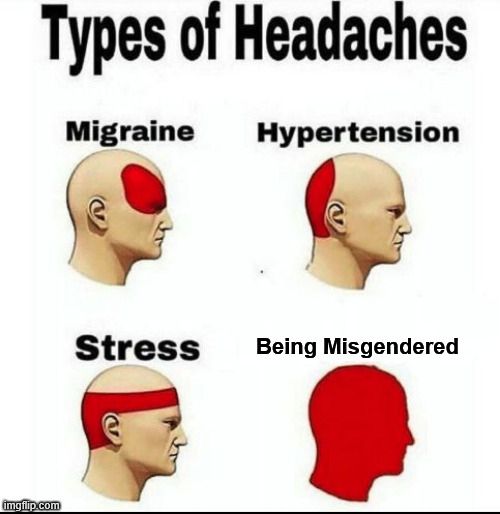 The meme shows different types of headache.
A small pain is migraine
A medium pain is hypertension
A large pain is stress
And the biggest head ache is being misgendered, of course