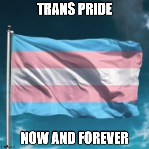 A trans flag displaying trans pride now and forever
