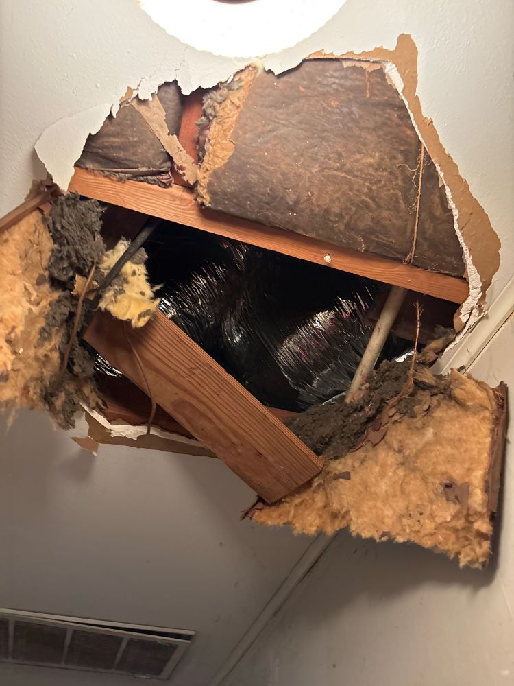 The ceiling that I put my leg through. Snapped a couple of ribs on one of those rafters.