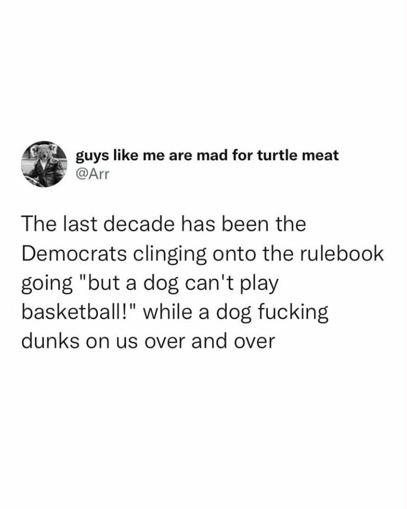 The last decade has been the Democrats clinging onto the rule book going “but a dog can’t play basketball!” while a dog fucking dunks on us over and over